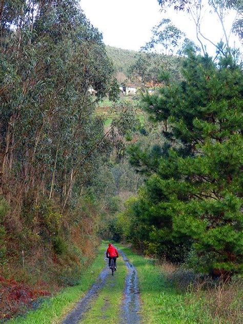 Rutas fáciles para hacer en bici en Asturias Turismo Asturias