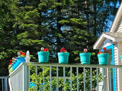 Colorful Flower Pots on a White Balcony Railing Stock Photo - Image of ...