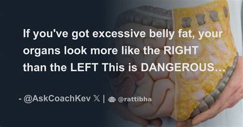 If Youve Got Excessive Belly Fat Your Organs Look More Like The Right