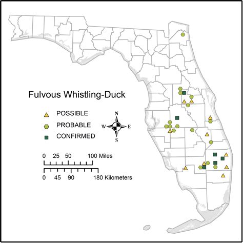 Fulvous Whistling-Duck | Breeding Bird Atlas