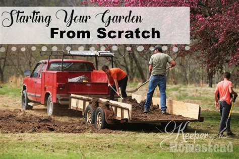 Starting Your Garden From Scratch Keeper Of The Homestead