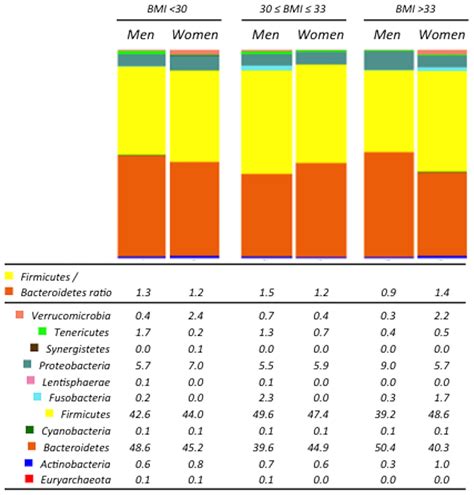 Gender Differences In The Gut Microbiota At The Phylum Level The Download Scientific Diagram