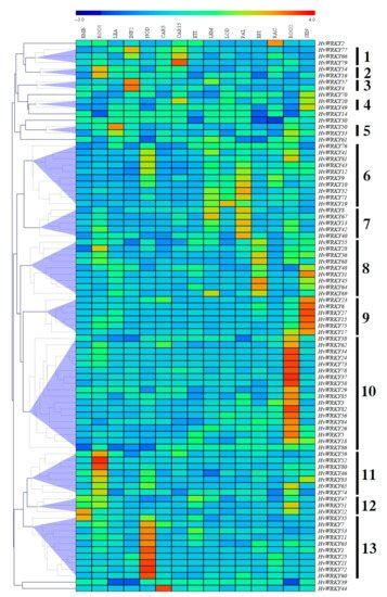 Agronomy Free Full Text Genome Wide Identification Of WRKY Gene