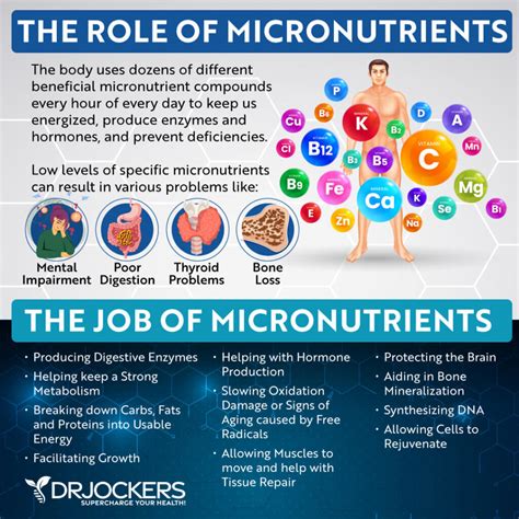 What Are Micronutrients and How to Test Your Levels?