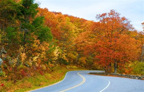 Virginia Fall Foliage: The 15 Best Places to See Fall Colors in VA ...