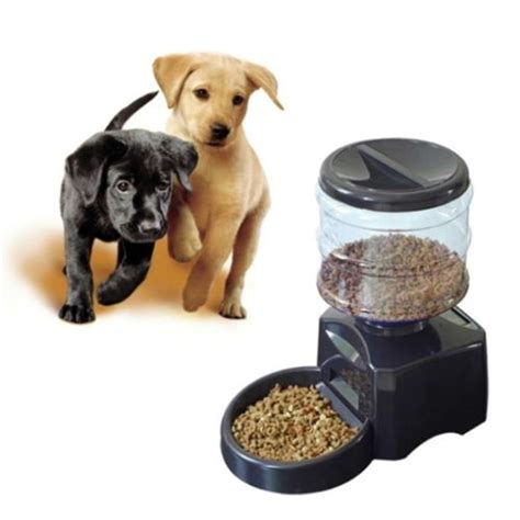 Автоматическая кормилка питомцев | Cat food bowl, Pet feeder, Food animals