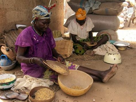 Niger lONU débloque 15 millions de dollars contre la crise