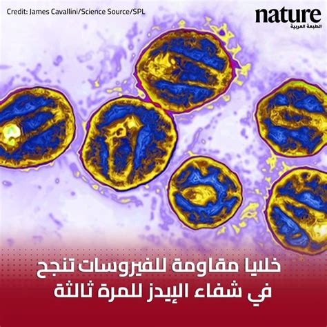 Nature Arabicedition On Twitter 🔴 صُنف رجل يبلغ من العمر 53 عامًا في