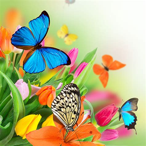 Butterfly Live Wallpaper - Apps on Google Play