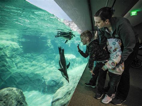 The Houston Zoo Just Opened A One Of Its Kind Galápagos Islands Exhibit