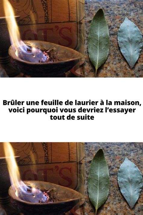 Brûler une feuille de laurier à la maison voici pourquoi vous devriez