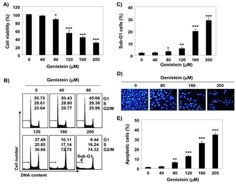 Antioxidants | Free Full-Text | Induction of G2/M Cell Cycle Arrest and Apoptosis by Genistein ...