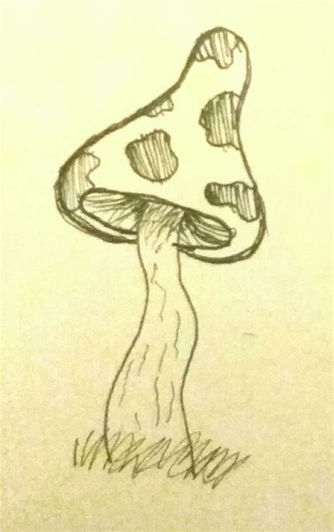 Mushrooms are so cute | Female sketch, Art, Humanoid sketch