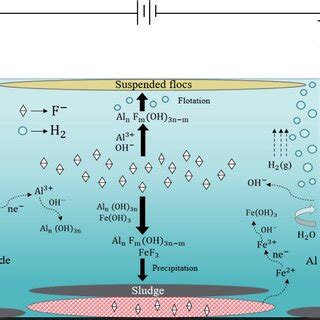 Schematic Illustration Of The Fluoride Removal Mechanism By Ec Gms