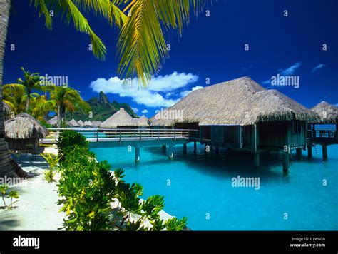 Complejo turístico en el agua el St Regis Bora Bora Resort laguna