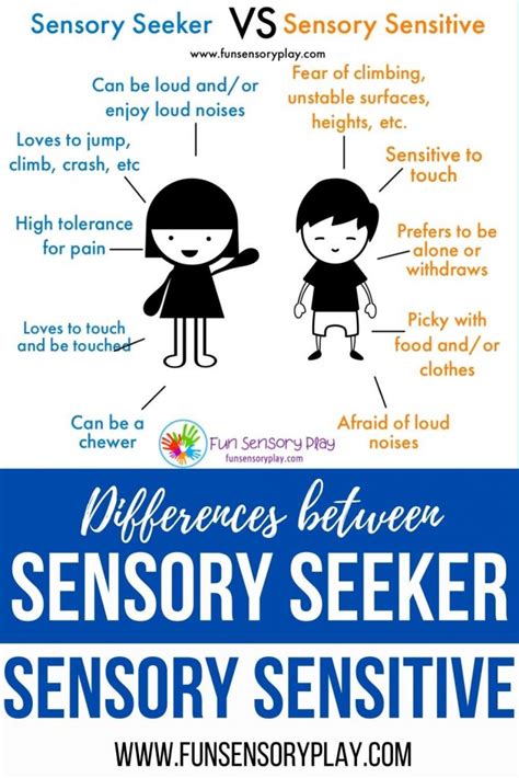 What Is The Difference Between Sensory Seeking And Sensory Sensitive