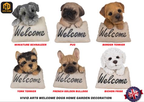 Vivid Arts Welcome Dog Border Terrier Garden Ornament For Sale Online