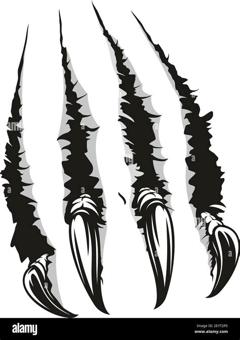 Claws Scratches Vector Vectors Stock Vector Images Alamy