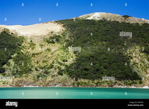 Towering sand dunes at Hokianga Harbour Stock Photo - Alamy