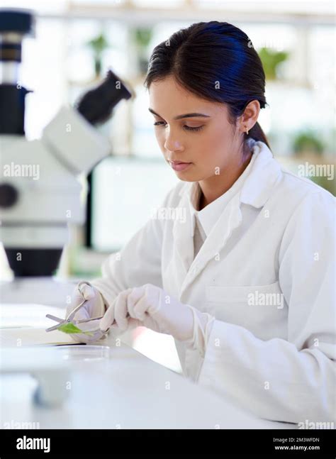 The Science Of Plant Life A Young Scientist Working With Plant Samples