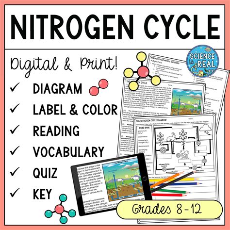 Nitrogen Cycle Diagram Reading Comprehension And Questions