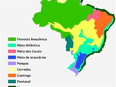 Vegeta O Do Brasil Tipos E Caracter Sticas Toda Mat Ria