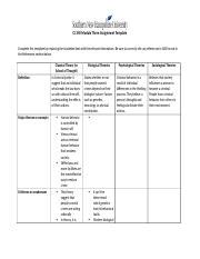 Cj Module Three Assignment Template Docx Cj Module Three