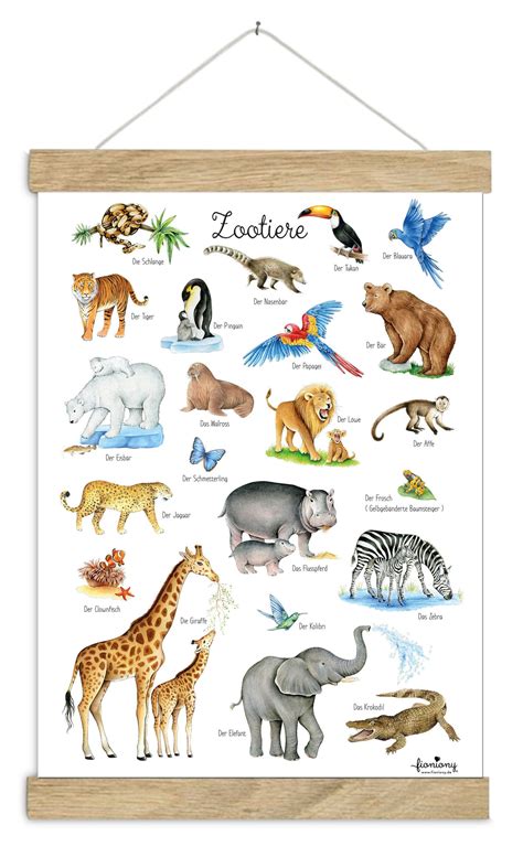 Zoo Animals Poster DINA3 Unframed Learning Poster Insects | Etsy