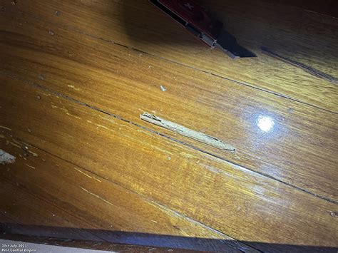 Breaking the Cycle of Termite Damage: A Cheltenham Timber Pest