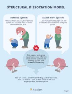 NICABM-InfoG-Structural-Dissociation-Model-Page1 - David J. Ebaugh, LCSW