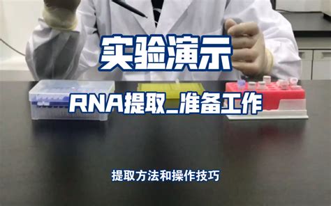 手把手教你做实验rna提取（准备工作）哔哩哔哩bilibili