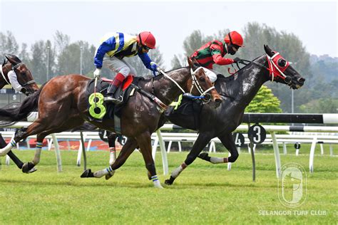 Dgreat Win Selangor Turf Club