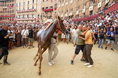 Palio Di Siena La Selva Beffa Il Bruco E Vince Con Il Cavallo Scosso