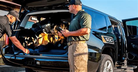 private security contractors  hire vets   skills