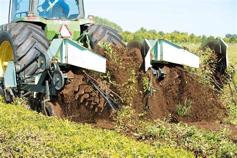 N Landbou Takealot Vir Boere Se Insette Op Pad Landbou