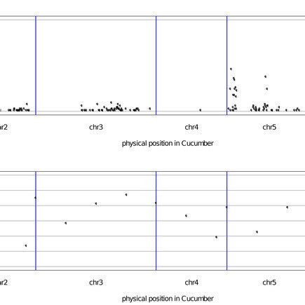 Genome Wide Distributions Of Snps A And Degs B In The Cucumber