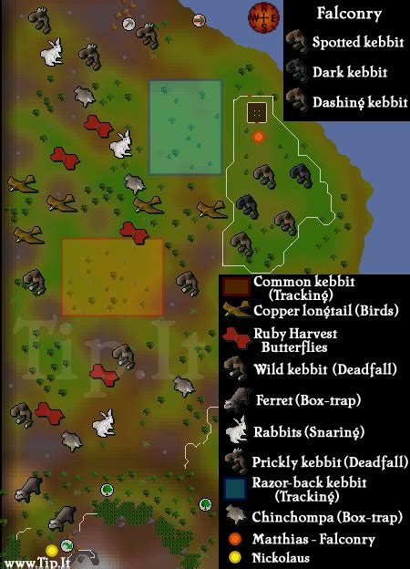 Woodland Region Map Pages Tipit Runescape Help The Original