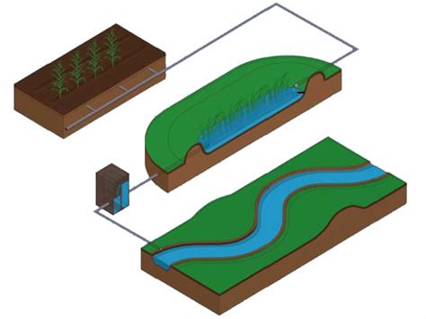 How Our Wetlands Work — Smart Wetlands