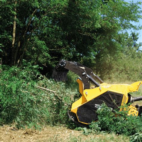 Rabaud Broyeur Forestier Sur Tracteur à Marteaux Fixes