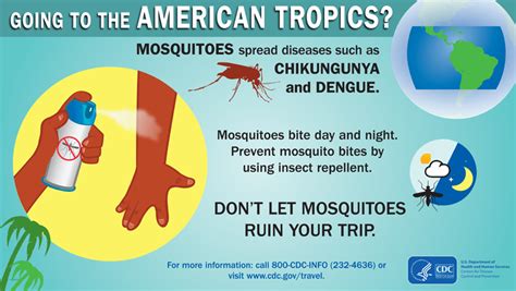 Infographics Prevent Bug Bites Travelers Health Cdc