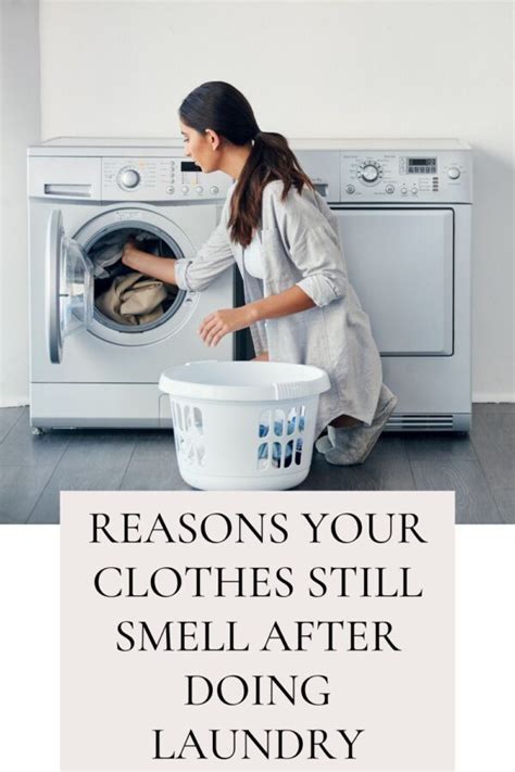 Reasons Your Clothes Still Smell After Doing Laundry - Ice Cream n ...