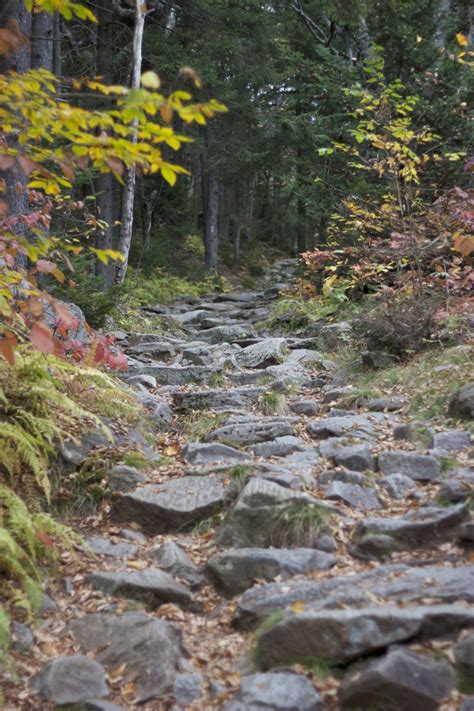 Rocky Trail Hiking • Free Nature Stock Photo