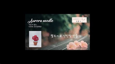 빨간 선인장화분 Youtube