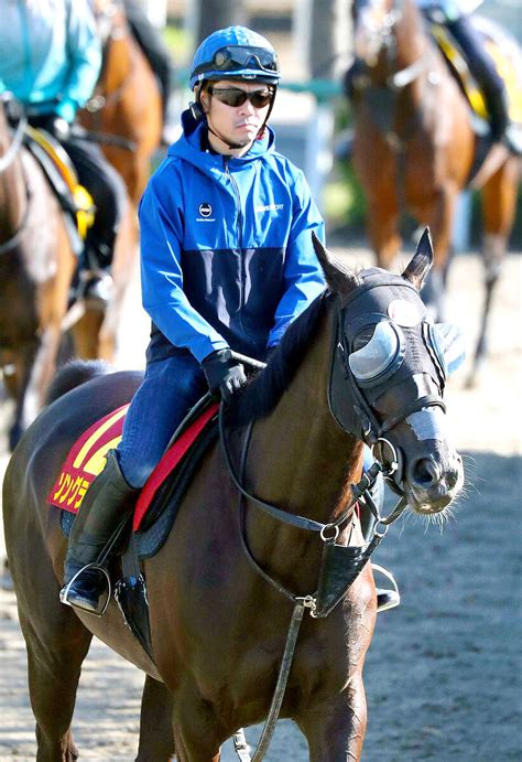 【ヴィクトリアマイル】ソングラインが安田記念以来のg1・2勝目 初コンビの戸崎圭太騎手が導く ソダシは2着 スポーツ報知