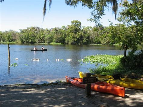 Blue Spring State Park Manatees And Natural Beauty