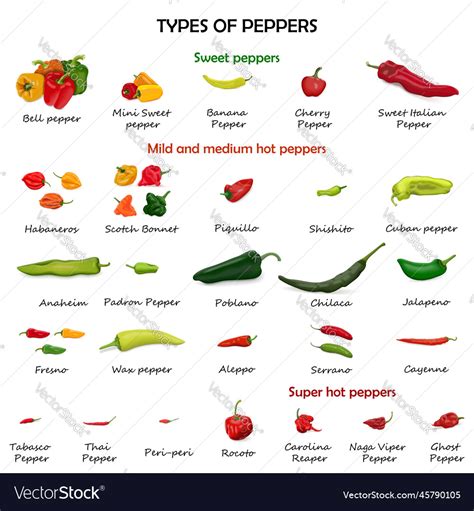 Types Of Peppers With Pictures