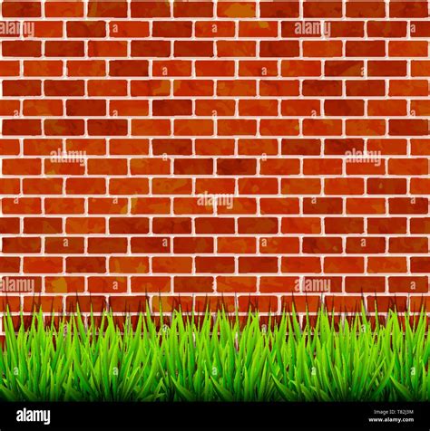 Brick wall with green grass background vector Stock Vector Image & Art ...