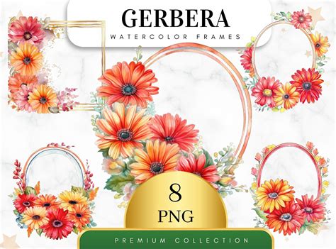 Gerbera Daisy Border Clip Art