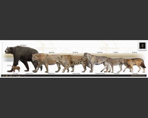 Extinct predators of Pleistocene North America : r/megafaunarewilding