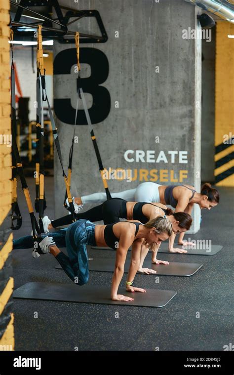 Formation à La Suspension Trois Jeunes Femmes Athlétiques S Exerçant Avec Des Sangles De